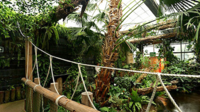 tropical_400 tropical_400